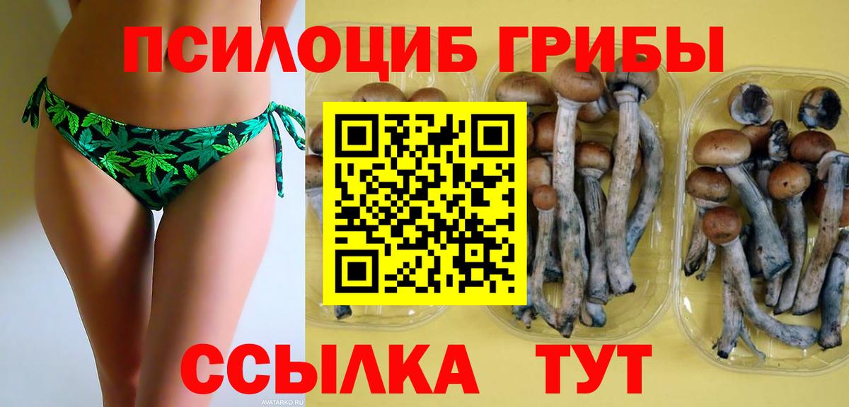 Псилоцибиновые грибы GOLDEN TEACHER Светлоград
